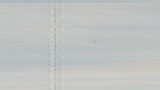 modena